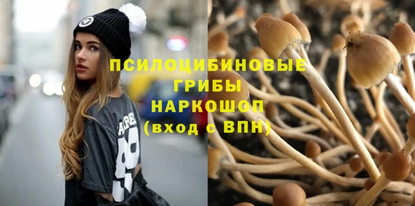 кокс Армянск