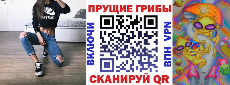 Купить где  Бирюсинск  Галлюциногенные грибы Psilocybe 